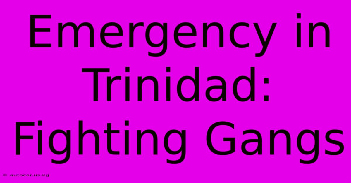 Emergency In Trinidad: Fighting Gangs