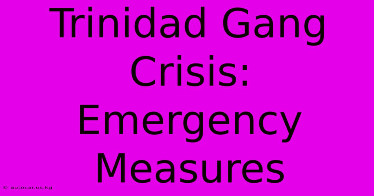 Trinidad Gang Crisis: Emergency Measures